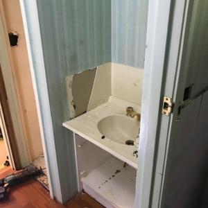 Bathroom, powder room renovation - Montmorency
