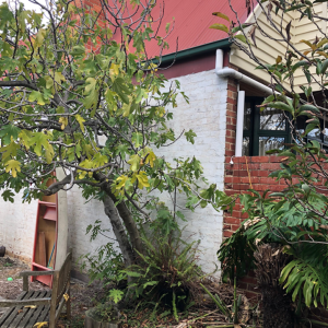 Extension & Bathroom - Hughsdale